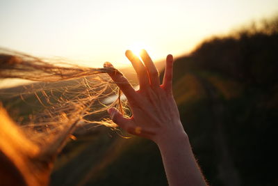 Close-up of hand touching plant during sunset