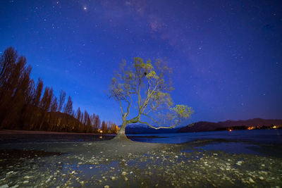 Amazing milky way view over lake wanaka and willow tree.that wanaka tree.