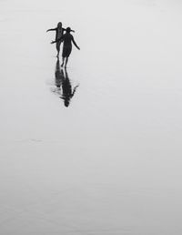 Woman jumping in swimming pool