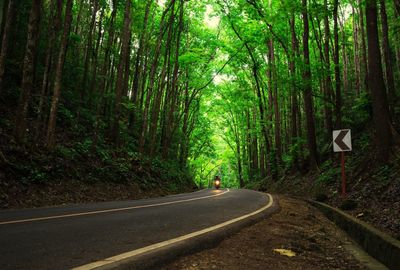 Road amidst trees in forest