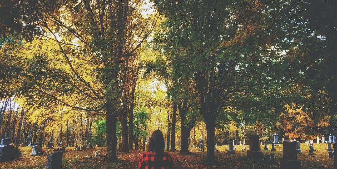 REAR VIEW OF WOMAN AMIDST TREES IN PARK