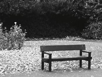 Empty bench in park