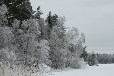 Scenic view of snow covered field against sky