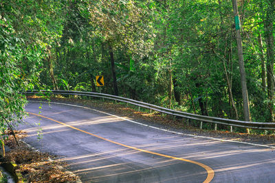 Road amidst trees in forest