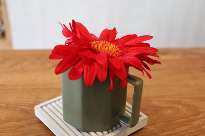 Close-up of red flower vase on table