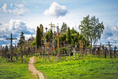 Trees on field against sky