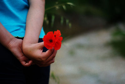 Close-up of hand holding red flower