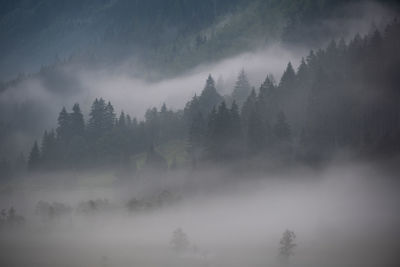 Scenic view of forest against sky during foggy weather