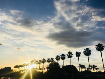 Silhouette palm trees against sky during sunset