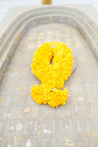 High angle view of yellow flower on table