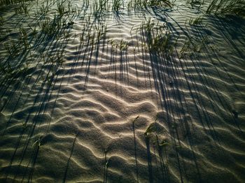 Full frame shot of rippled water