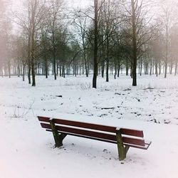 Empty bench in park during winter