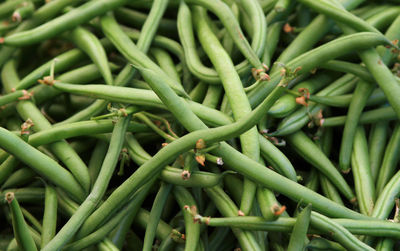 Closeup of green beans on the market stall. intense green color