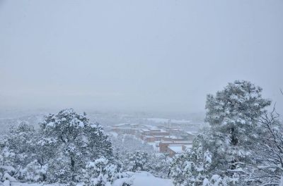 Scenic view of snow covered landscape