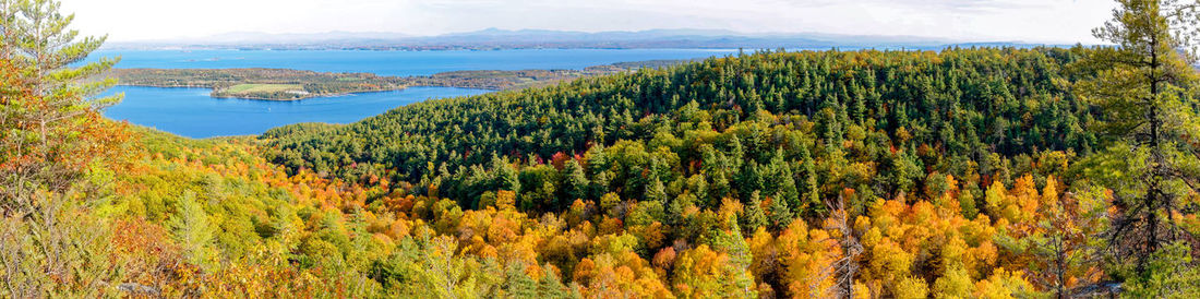 Scenic view of forest against sky during autumn