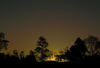 Silhouette trees against clear sky during sunset