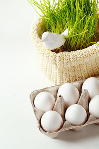 High angle view of shells on table against white background