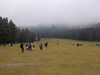 Group of people on field by trees against sky