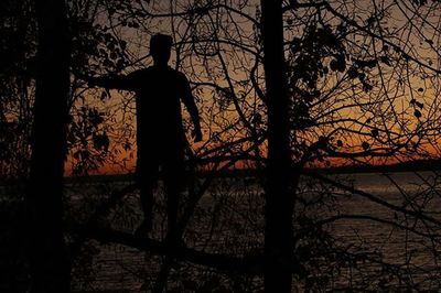 Silhouette bare tree against sky at sunset