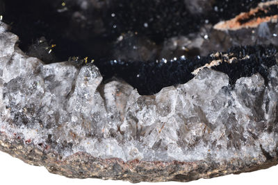 High angle view of a reptile on rock