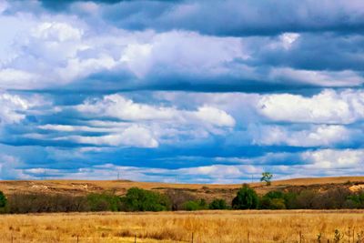 Scenic view of field against cloudy sky