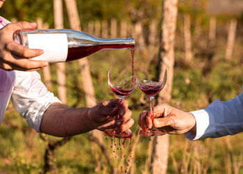 Men in vineyard pour rose wine in fractured glasses in fall sunny day.