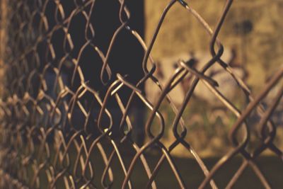 Close-up of chainlink fence