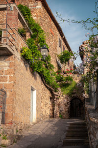 Footpath amidst buildings in town