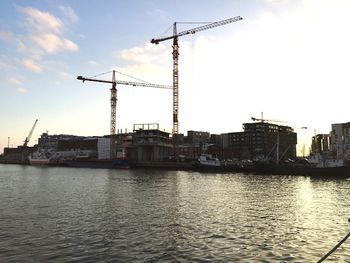 Cranes at harbor