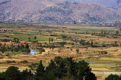 High angle view of field