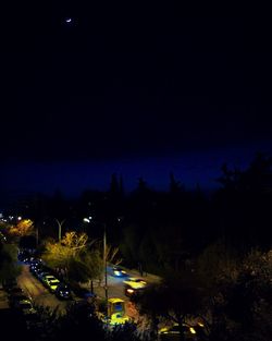 View of illuminated trees at night