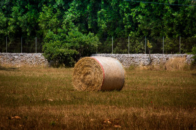 Puglia country side