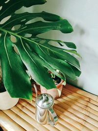 High angle view of potted plant on table