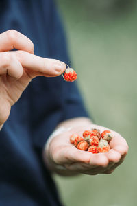 Girl holding edible wild berries, fragute, fragi