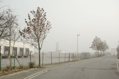 Trees in city against sky