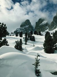 Trees on snow covered mountains against sky