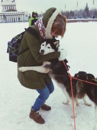domestic animals