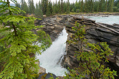 Scenic view of waterfall in forest