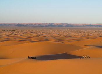 Scenic view of desert against clear sky