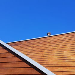 Low angle view of woman standing by wooden wall against clear blue sky