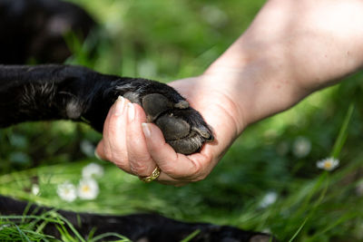 Close-up of hand holding plant