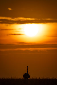 Silhouette woman standing on field against sky during sunset