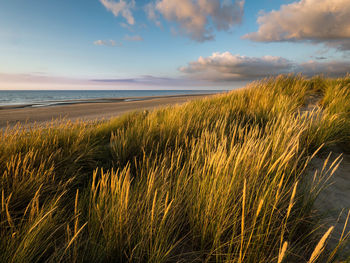 Scenic view of sea against sky during sunset