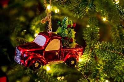 Close-up of illuminated christmas tree at night