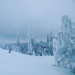 Winter in the north of sweden