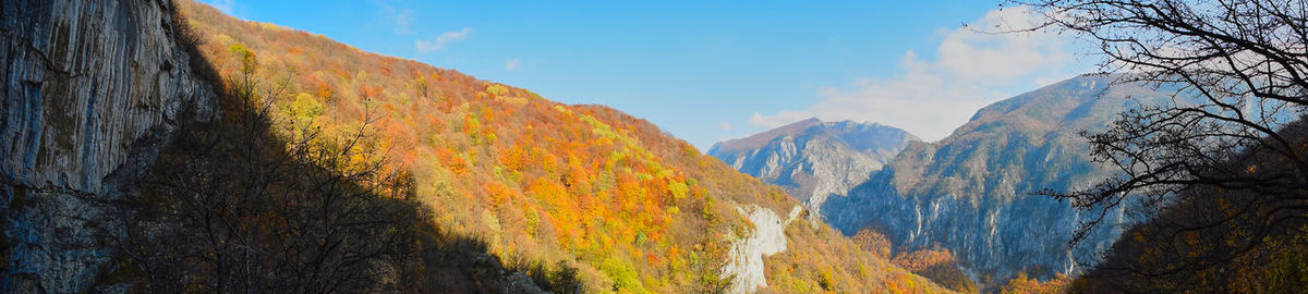 mountain