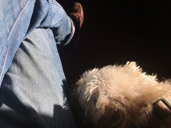 Low section of man with dog against black background