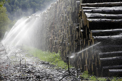 Scenic view of waterfall in forest