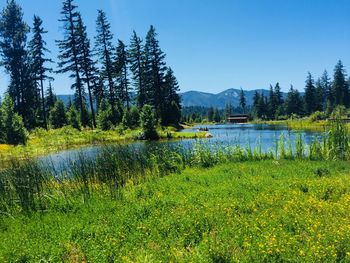 Scenic view of lake against sky
