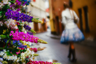 Purple flowering plants